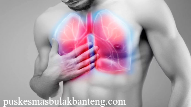Cara Membersihkan Paru-Paru Secara Alami untuk Kesehatan Sehari-hari