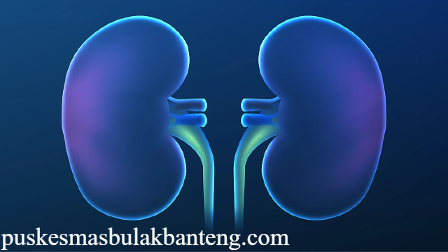 Pemicu Gagal Ginjal: Kenali Penyebabnya Sejak Dini